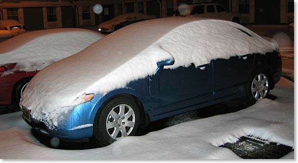 Little Blue under the snow!